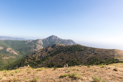 山