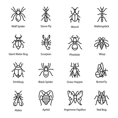 昆虫和Bug图标