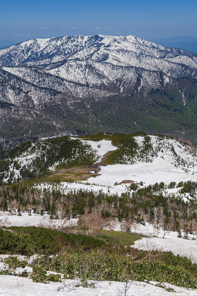 在春天的相竹山和熊泽watashiro