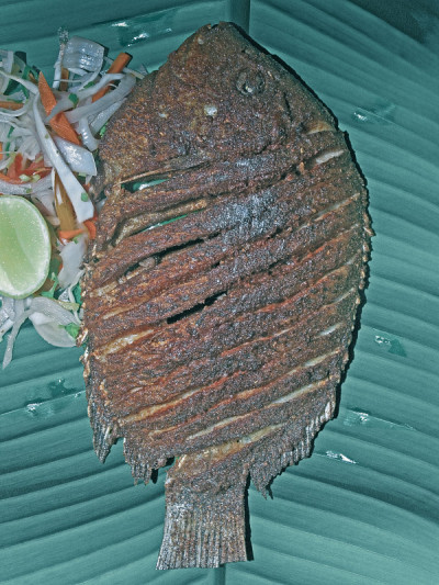 南印度塔利(饭)和鱼是传统上被禁止的