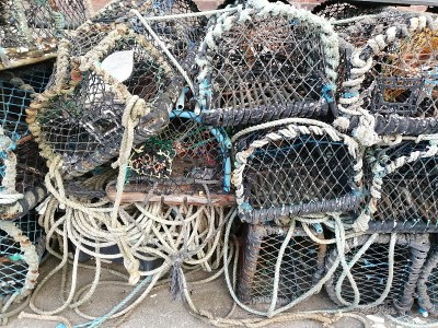 龙虾锅