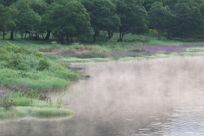 秋本湖和利瑟鲁姆