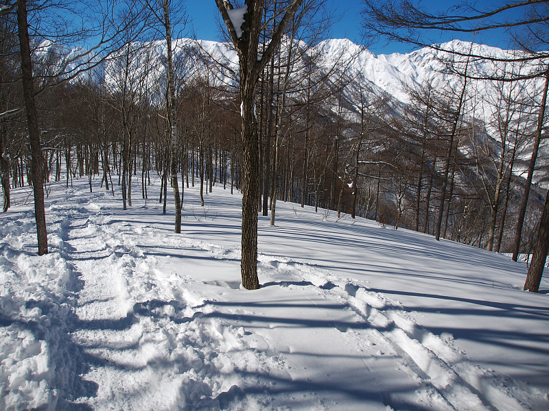 在深雪覆盖的森林里穿雪鞋徒步旅行