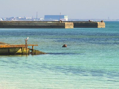 海鸥坐在海边的码头上