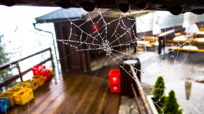 WetWeb