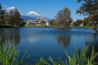 富士山和中泽热水池