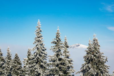 冬天，捷克的巨人山脉有雪