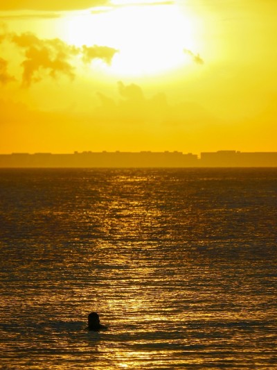 夕阳浸