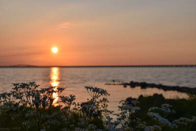 夏日日落，波罗的海