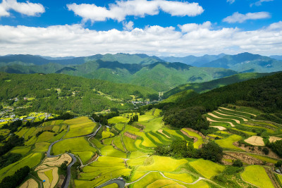 日本高知县美丽的梯田