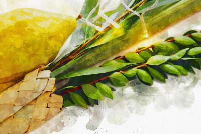 犹太住棚节的水彩画风格和抽象形象。传统符号(四种):Etrog, lulav, hadas, ara