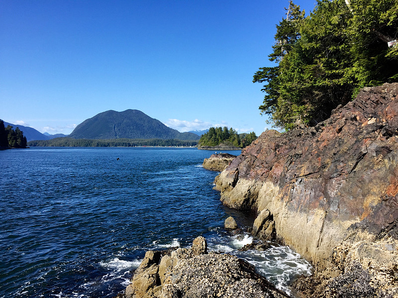 从Tonquin海滩步道，Tofino，不列颠哥伦比亚省，加拿大