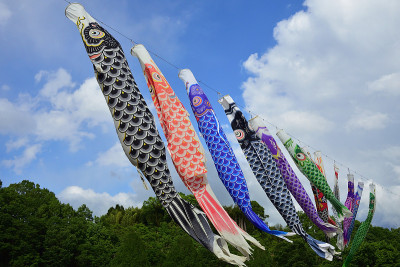 鲤鱼在天，日本事件