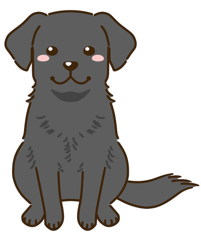 拉布拉多猎犬（黑色）