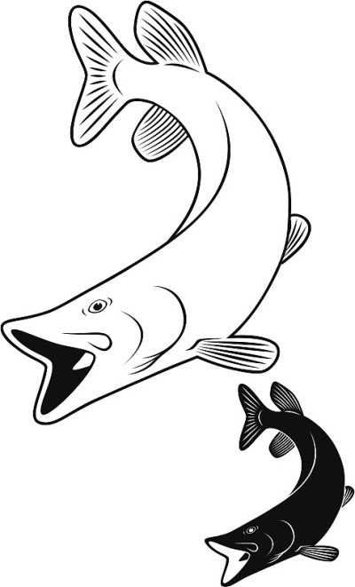 鱼派克