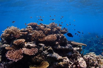 海底