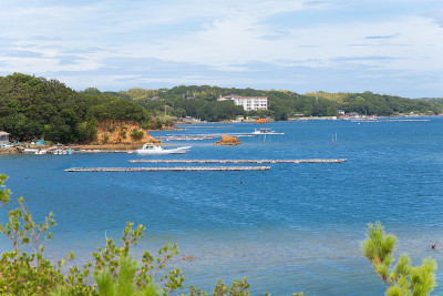 柏岛(日本的风景)