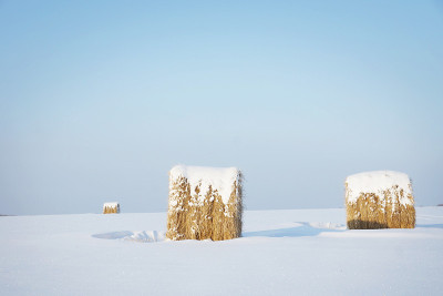 冬天的景观与干草卷在雪地上