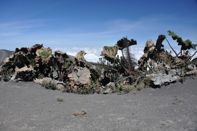 哥斯达黎加的伊拉祖火山。有防护屏障的云层中的火山口。熔岩和浮石的碎片。