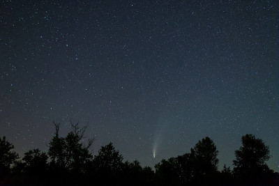 彗星NEOWISE在森林空地上方的夜空，夜晚的户外景象