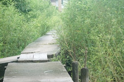 自然花园之路