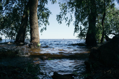 夏日美景，阳光明媚的一天，在河边