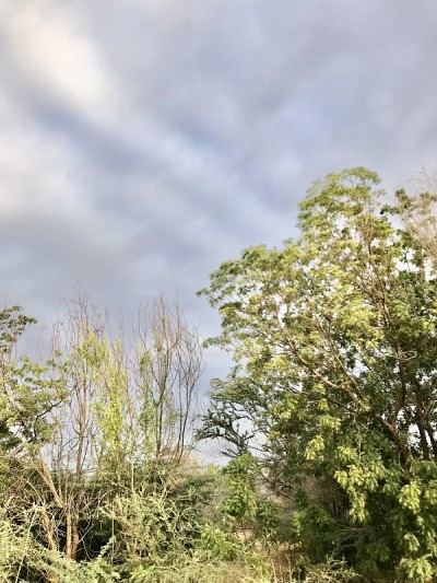 圣城村。