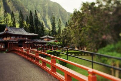 森林日式寺庙和小路