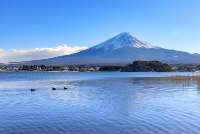 富士山与游鸭湖，蓝天背景