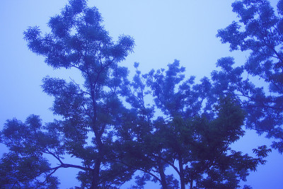 知床五湖