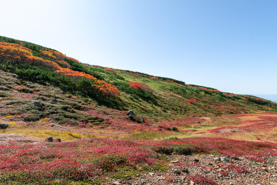 北海道秋日朝霞的景色。