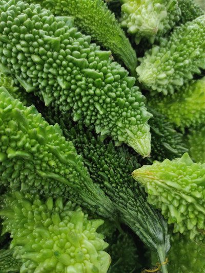 蔬菜