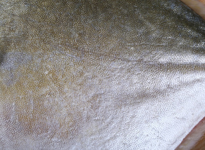 Scale macro.