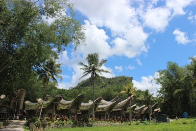 同侃在Kete Kesu - Toraja
