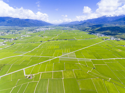 稻田谷地鸟瞰图。台湾。
