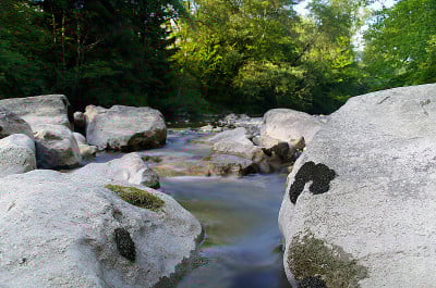 河道