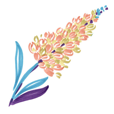 花离开