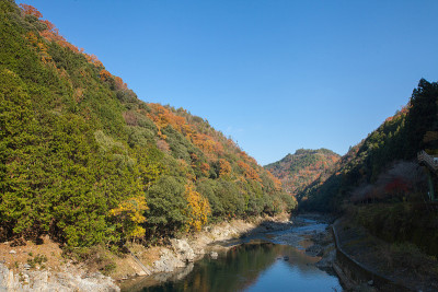 日本京都，秋日，从凤山的五色子Hodukyo站俯瞰珠川河