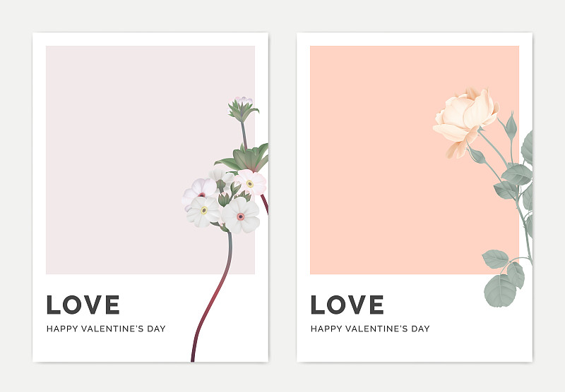 Minimalist botanical valentine greeting card templ