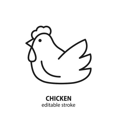 鸡肉矢量直线图标。