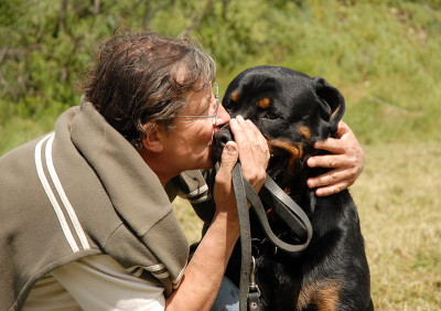 男人和罗特韦尔犬