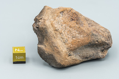 Chondrite Meteorite L Type isolated, a piece of ro