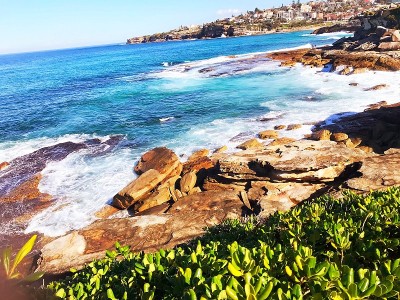 Coogee到Bondi海滩海岸散步