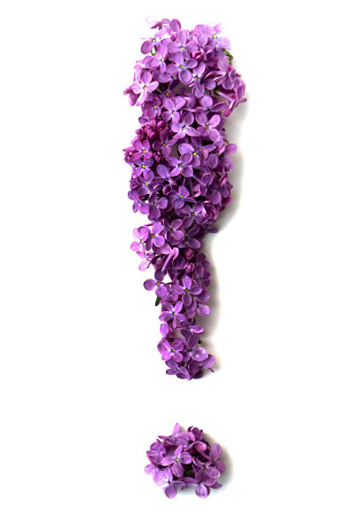 紫丁香的花字母