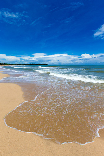 海滩及热带海