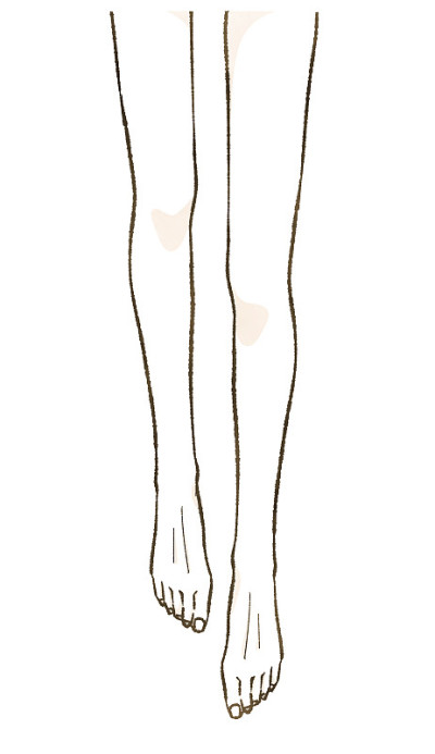 女性腿的插图