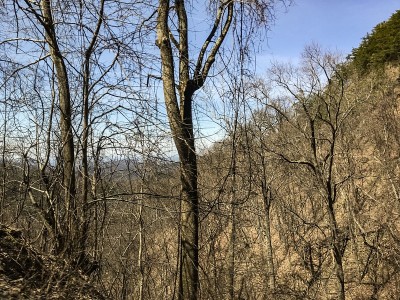 田纳西州