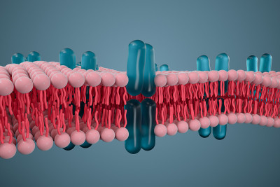 细胞膜与生物学，生物学概念，3d渲染。