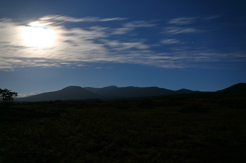 马场，马场，牧场，鸟草，哈拉山，草地，田野，夜景，