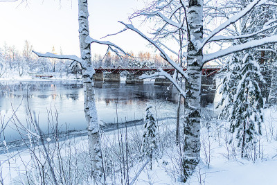 Lejonströmsbron